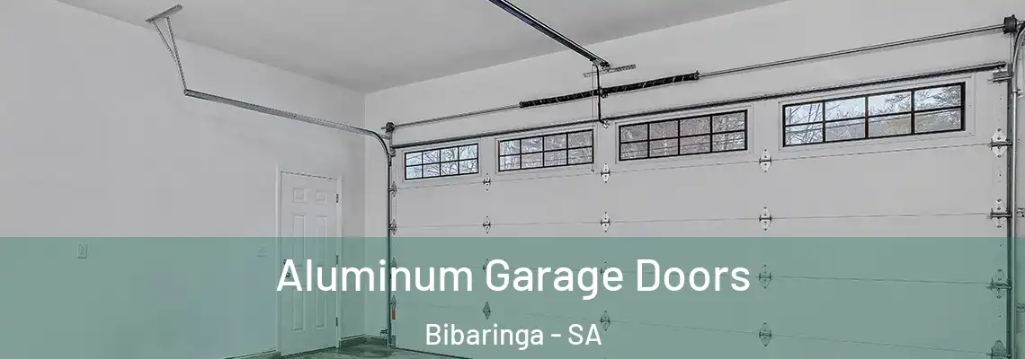 Aluminum Garage Doors Bibaringa - SA
