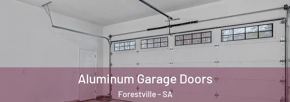  Aluminum Garage Doors Forestville - SA