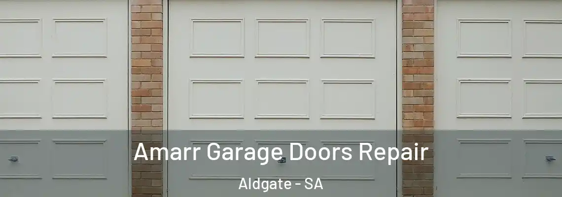  Amarr Garage Doors Repair Aldgate - SA
