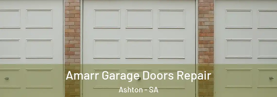  Amarr Garage Doors Repair Ashton - SA