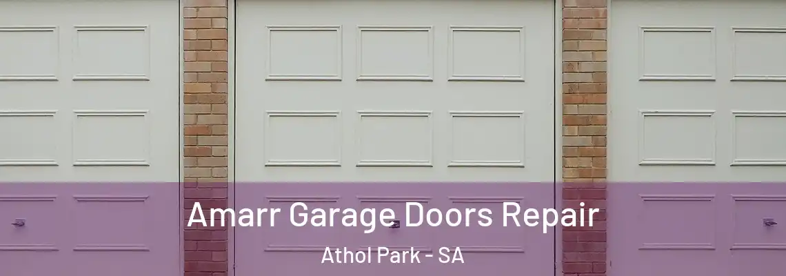 Amarr Garage Doors Repair Athol Park - SA