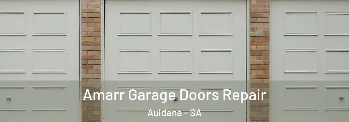  Amarr Garage Doors Repair Auldana - SA
