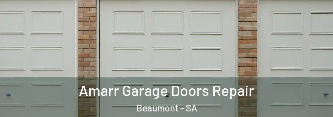  Amarr Garage Doors Repair Beaumont - SA