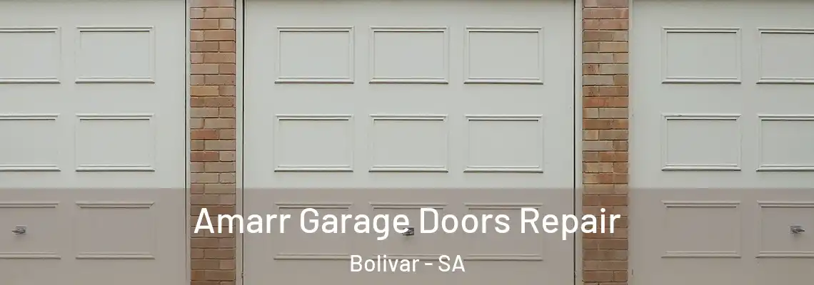  Amarr Garage Doors Repair Bolivar - SA