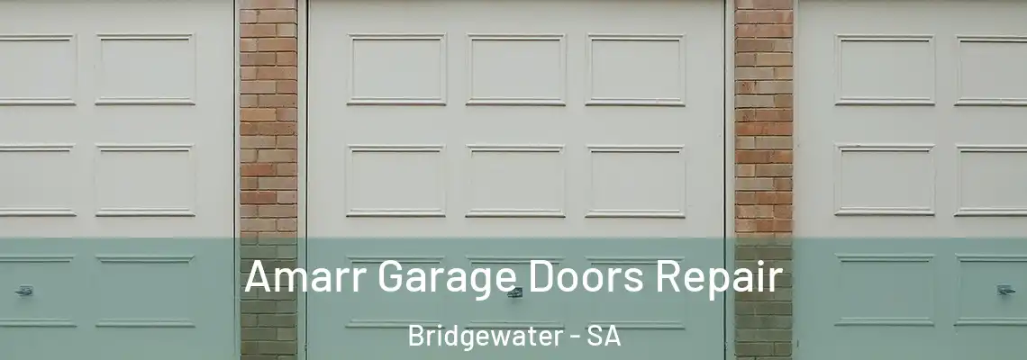  Amarr Garage Doors Repair Bridgewater - SA