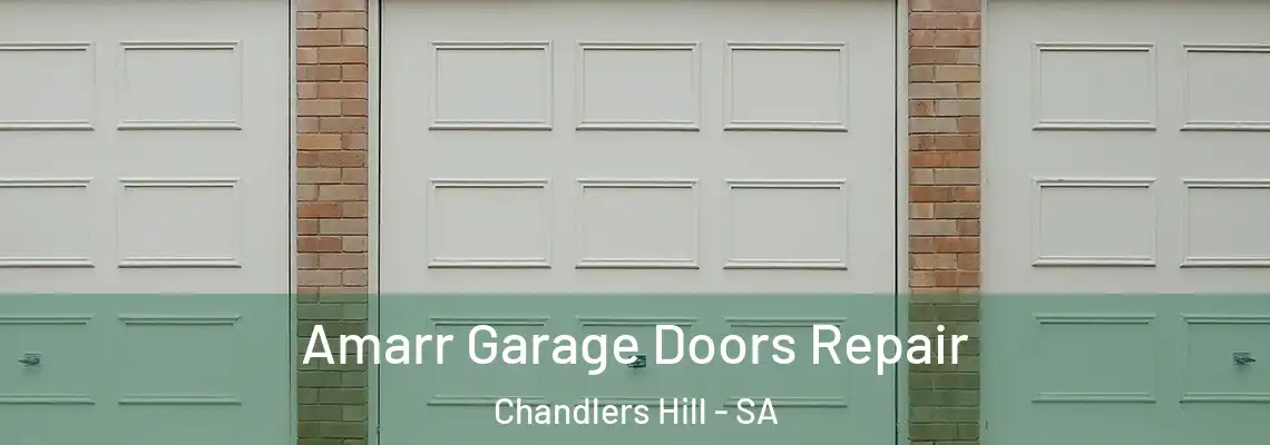  Amarr Garage Doors Repair Chandlers Hill - SA