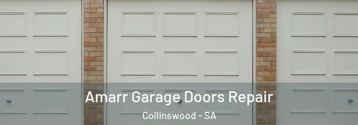  Amarr Garage Doors Repair Collinswood - SA