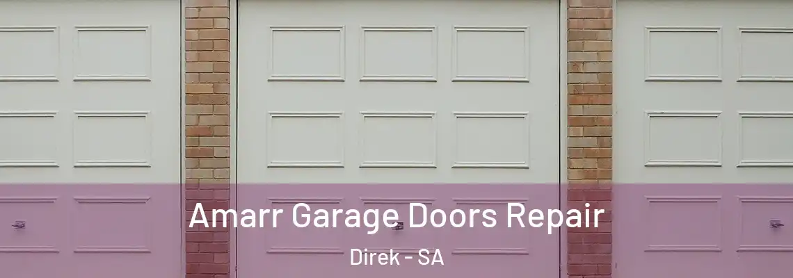  Amarr Garage Doors Repair Direk - SA