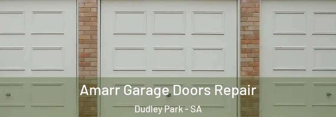  Amarr Garage Doors Repair Dudley Park - SA