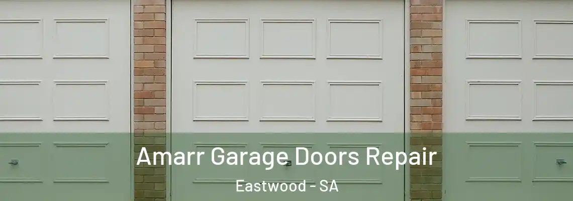  Amarr Garage Doors Repair Eastwood - SA