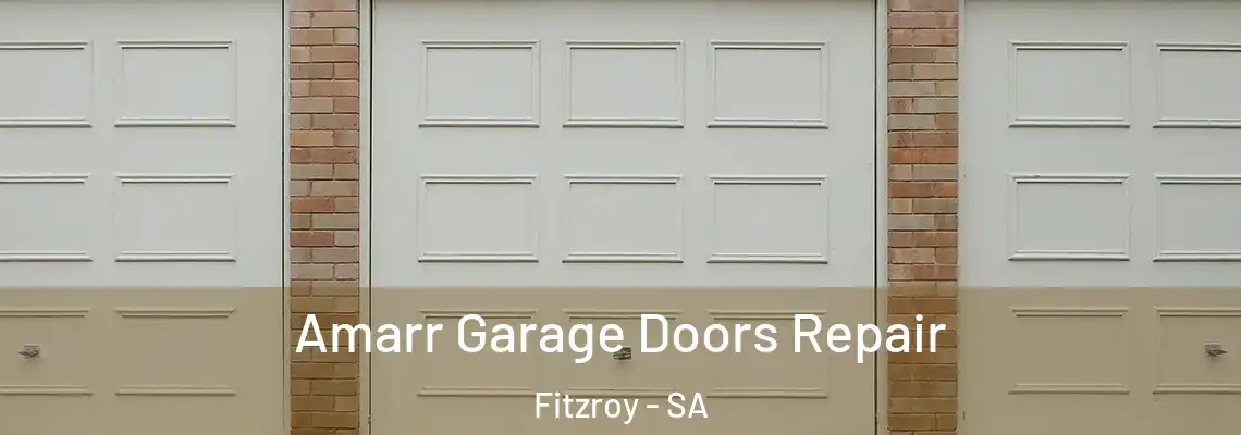  Amarr Garage Doors Repair Fitzroy - SA