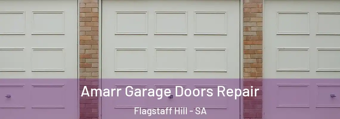  Amarr Garage Doors Repair Flagstaff Hill - SA