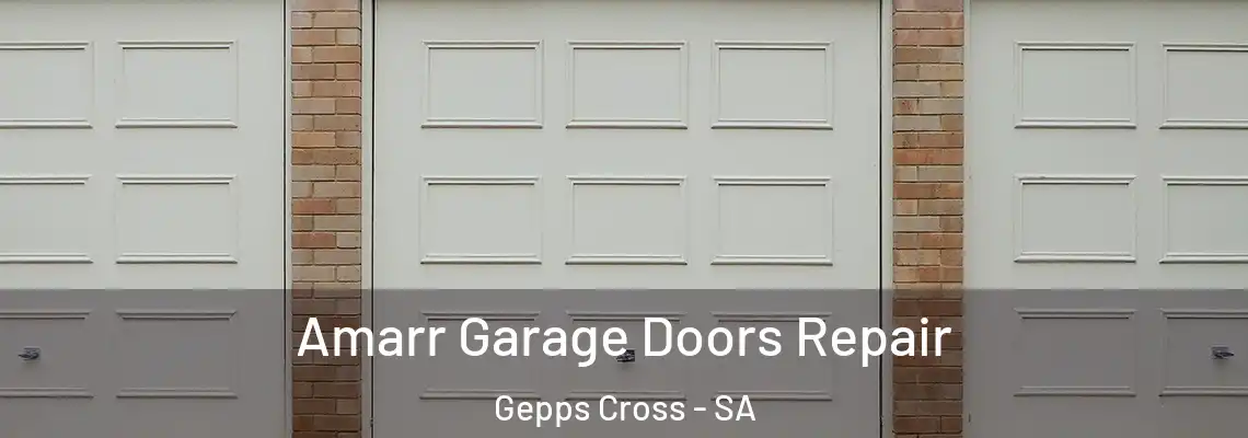  Amarr Garage Doors Repair Gepps Cross - SA