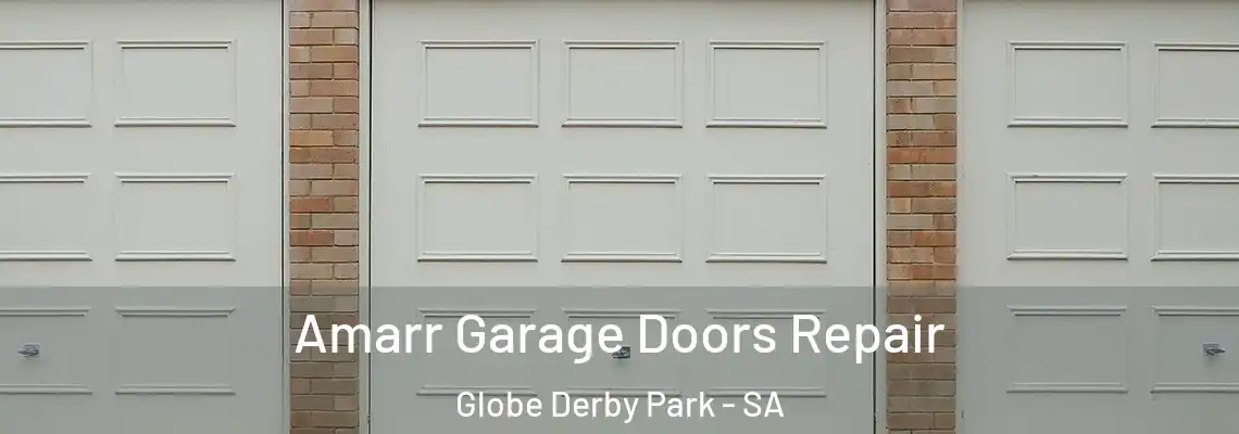  Amarr Garage Doors Repair Globe Derby Park - SA