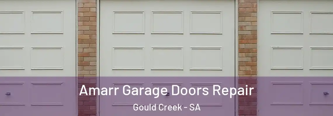  Amarr Garage Doors Repair Gould Creek - SA