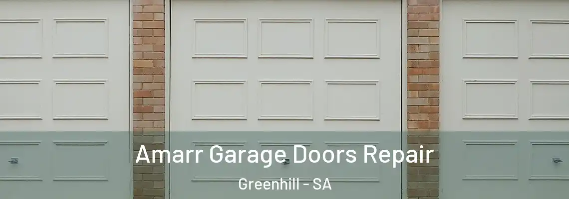  Amarr Garage Doors Repair Greenhill - SA