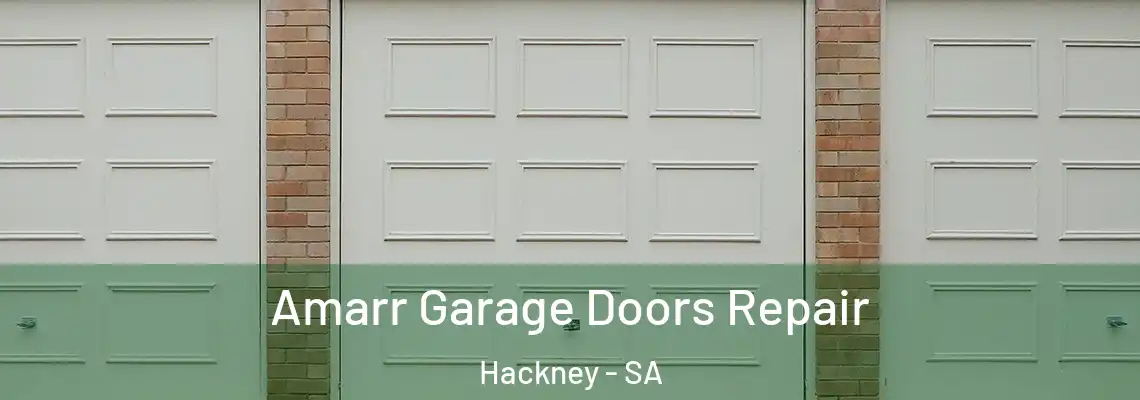  Amarr Garage Doors Repair Hackney - SA