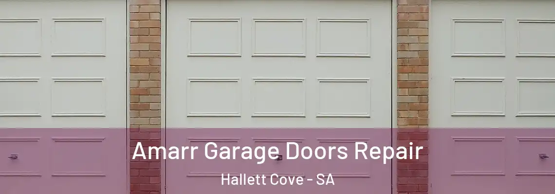  Amarr Garage Doors Repair Hallett Cove - SA