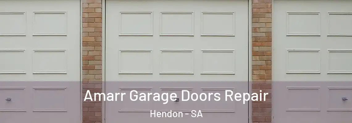  Amarr Garage Doors Repair Hendon - SA