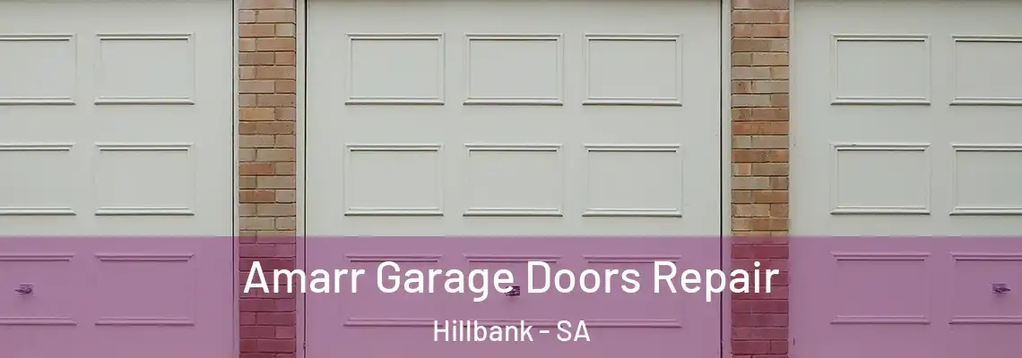  Amarr Garage Doors Repair Hillbank - SA