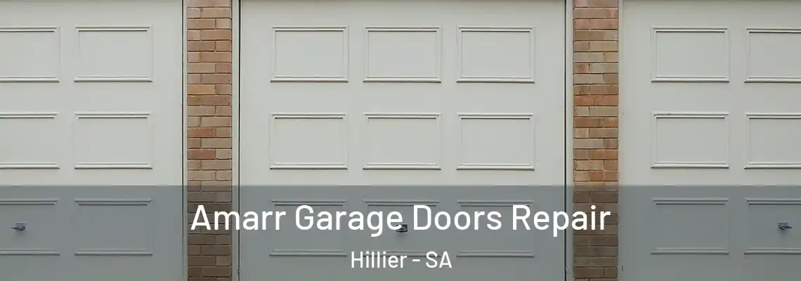  Amarr Garage Doors Repair Hillier - SA