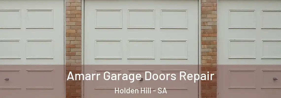  Amarr Garage Doors Repair Holden Hill - SA