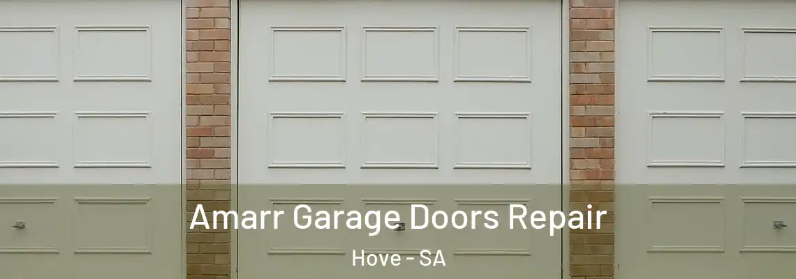  Amarr Garage Doors Repair Hove - SA