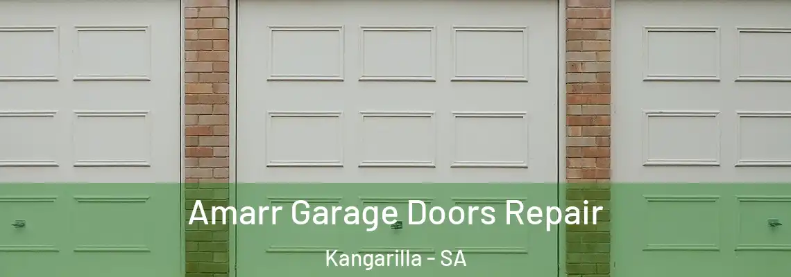  Amarr Garage Doors Repair Kangarilla - SA