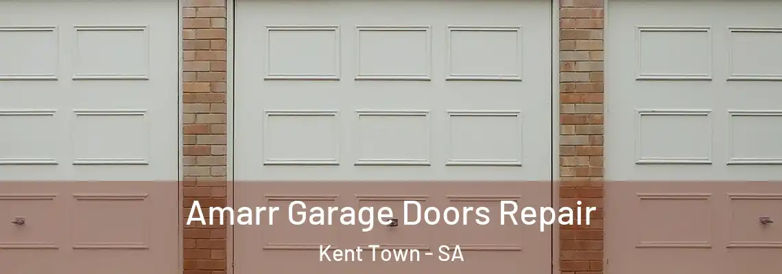  Amarr Garage Doors Repair Kent Town - SA