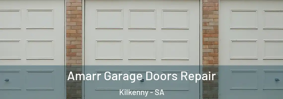  Amarr Garage Doors Repair Kilkenny - SA