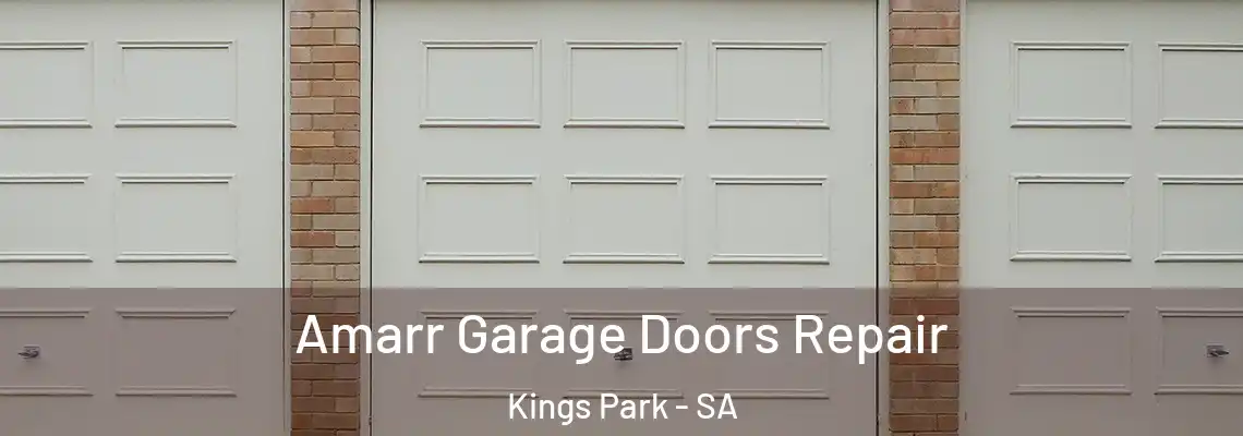  Amarr Garage Doors Repair Kings Park - SA