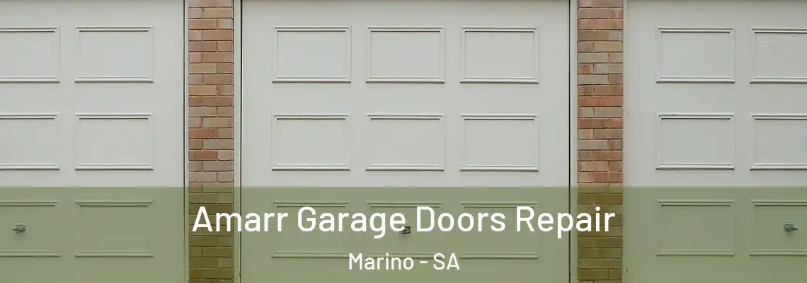  Amarr Garage Doors Repair Marino - SA