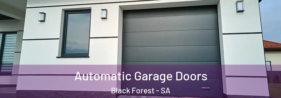  Automatic Garage Doors Black Forest - SA