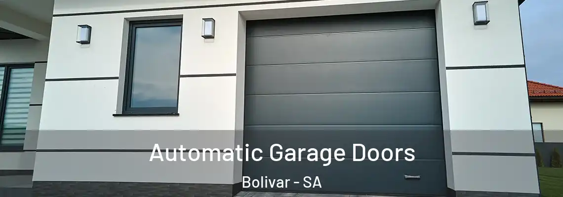  Automatic Garage Doors Bolivar - SA