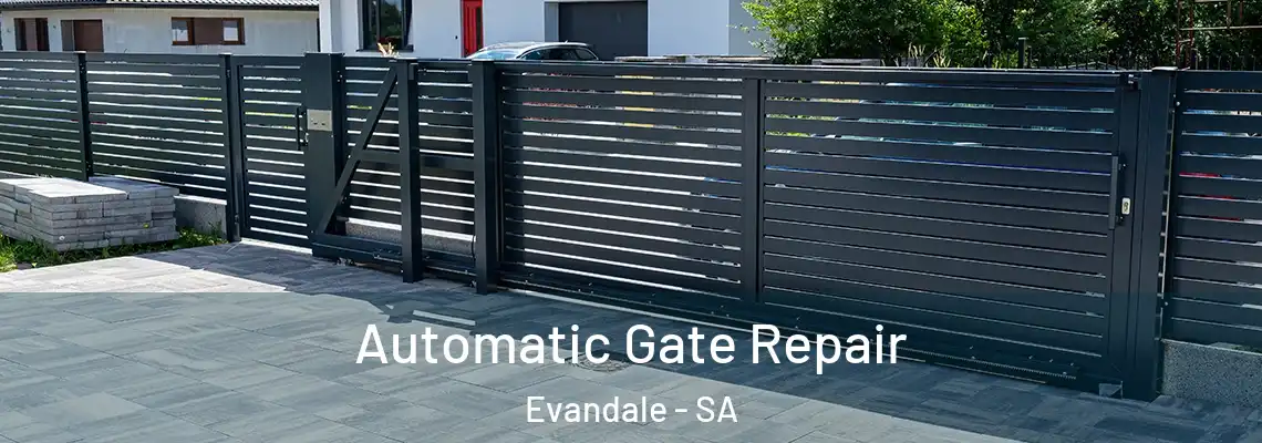  Automatic Gate Repair Evandale - SA