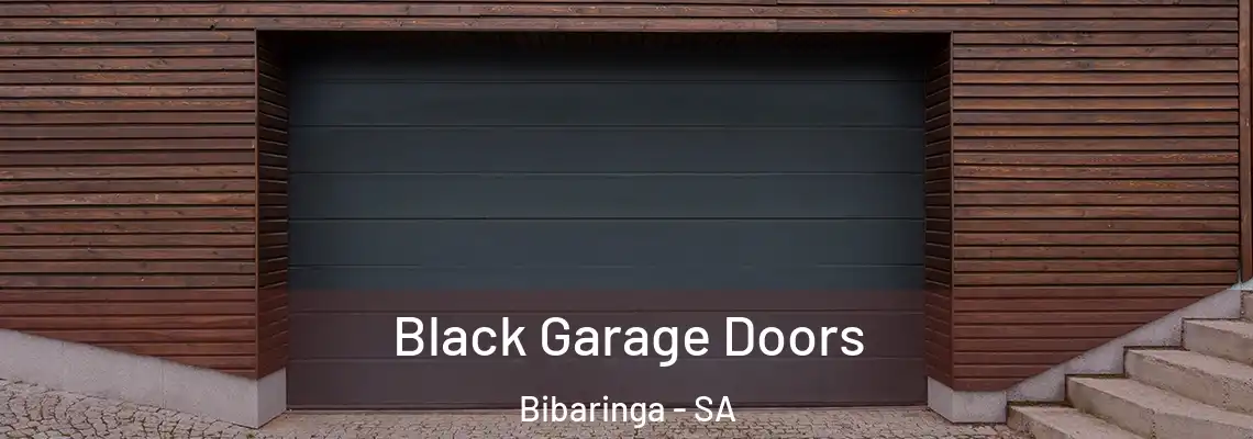  Black Garage Doors Bibaringa - SA