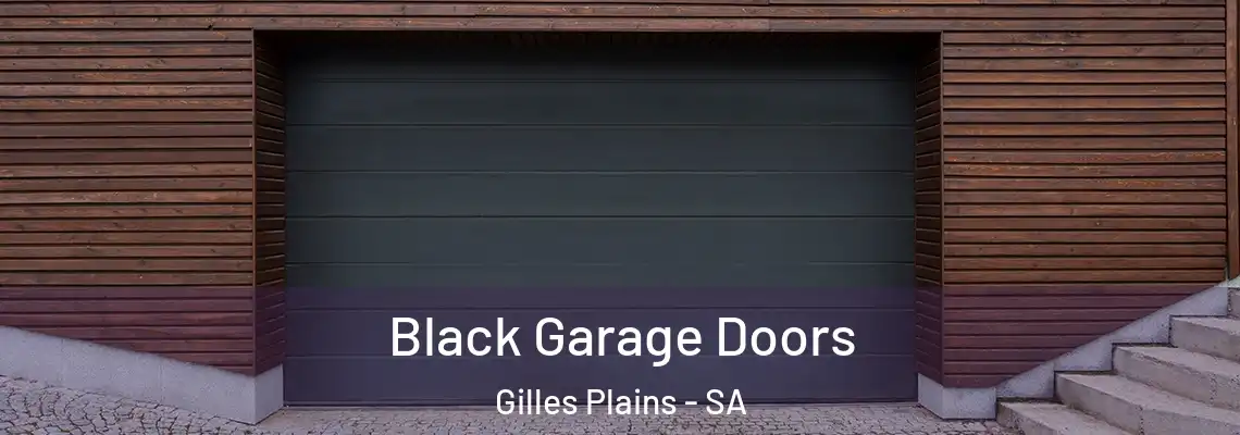  Black Garage Doors Gilles Plains - SA