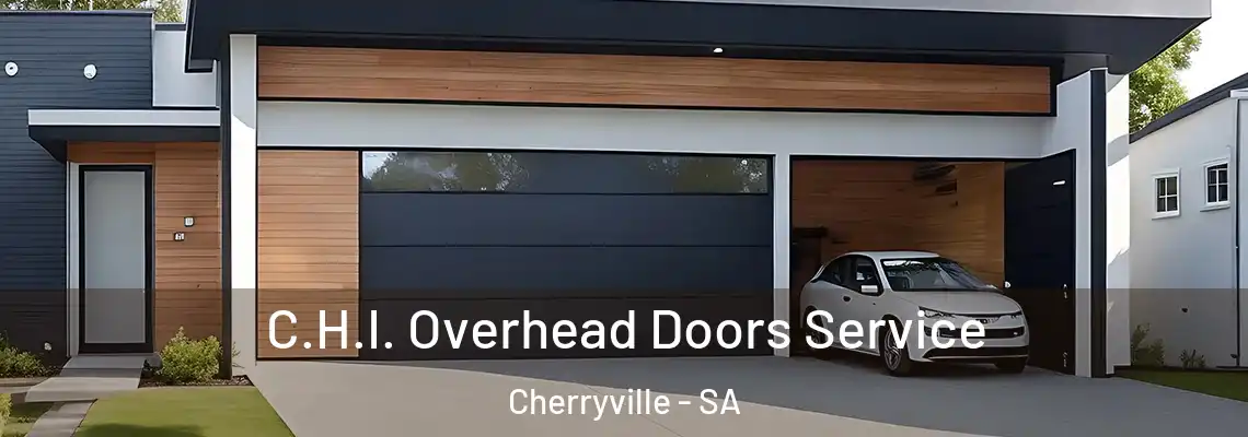  C.H.I. Overhead Doors Service Cherryville - SA