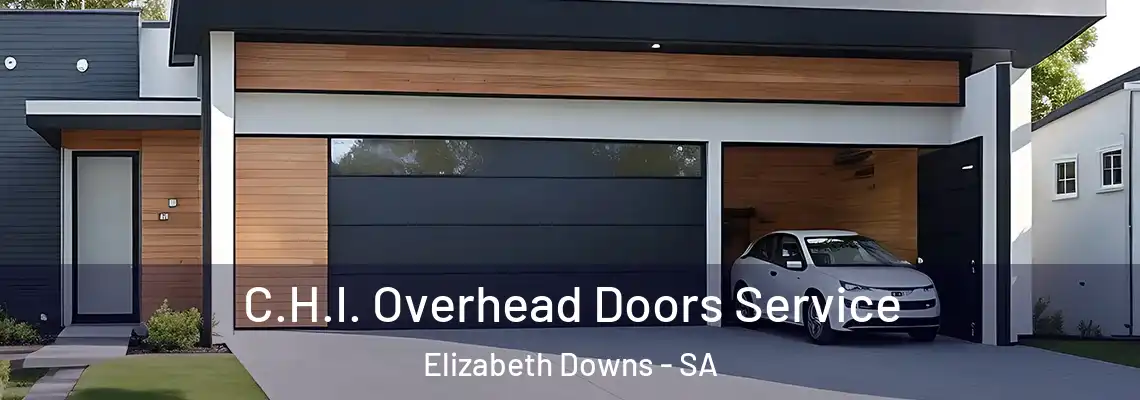  C.H.I. Overhead Doors Service Elizabeth Downs - SA