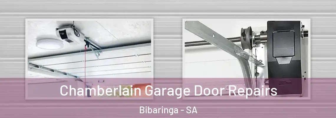  Chamberlain Garage Door Repairs Bibaringa - SA