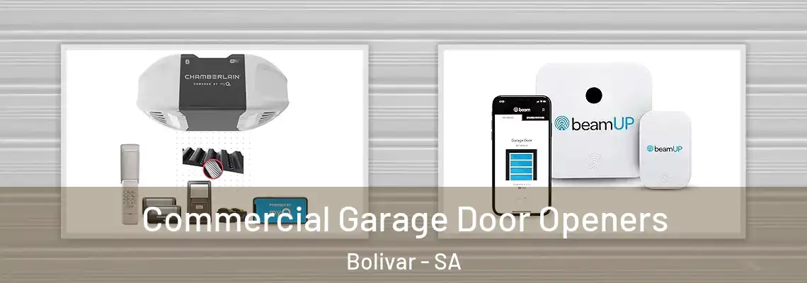  Commercial Garage Door Openers Bolivar - SA