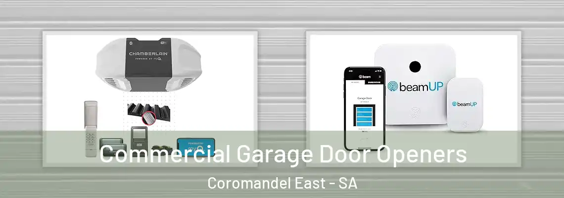  Commercial Garage Door Openers Coromandel East - SA