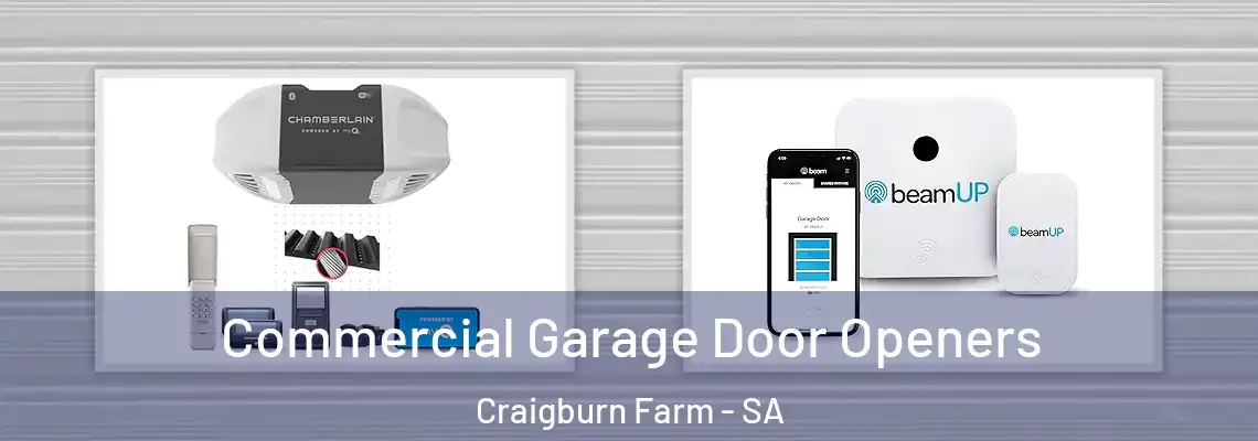  Commercial Garage Door Openers Craigburn Farm - SA