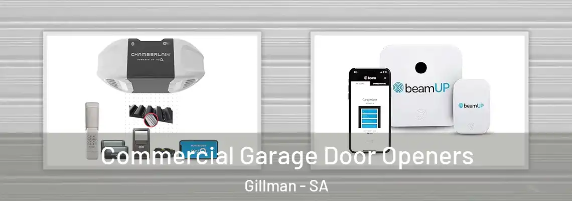  Commercial Garage Door Openers Gillman - SA