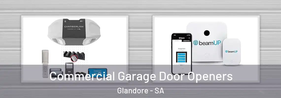  Commercial Garage Door Openers Glandore - SA