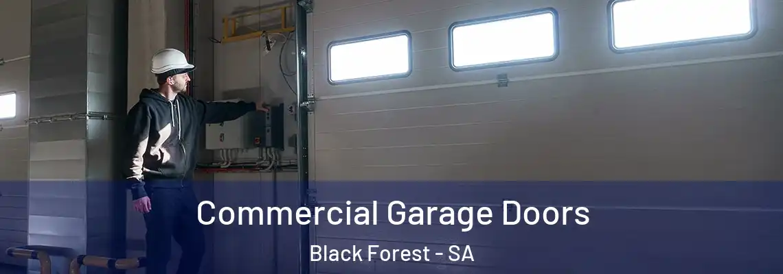  Commercial Garage Doors Black Forest - SA