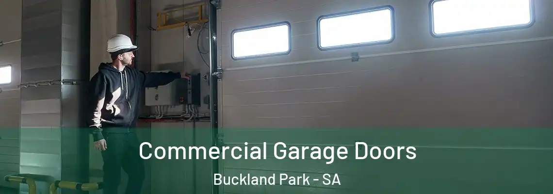  Commercial Garage Doors Buckland Park - SA