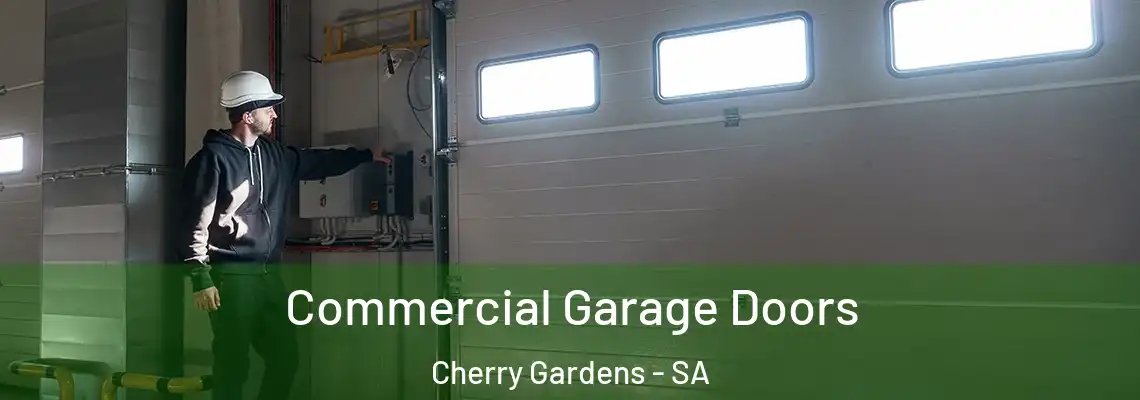  Commercial Garage Doors Cherry Gardens - SA
