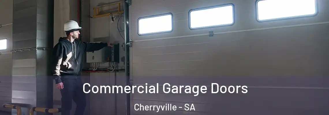  Commercial Garage Doors Cherryville - SA