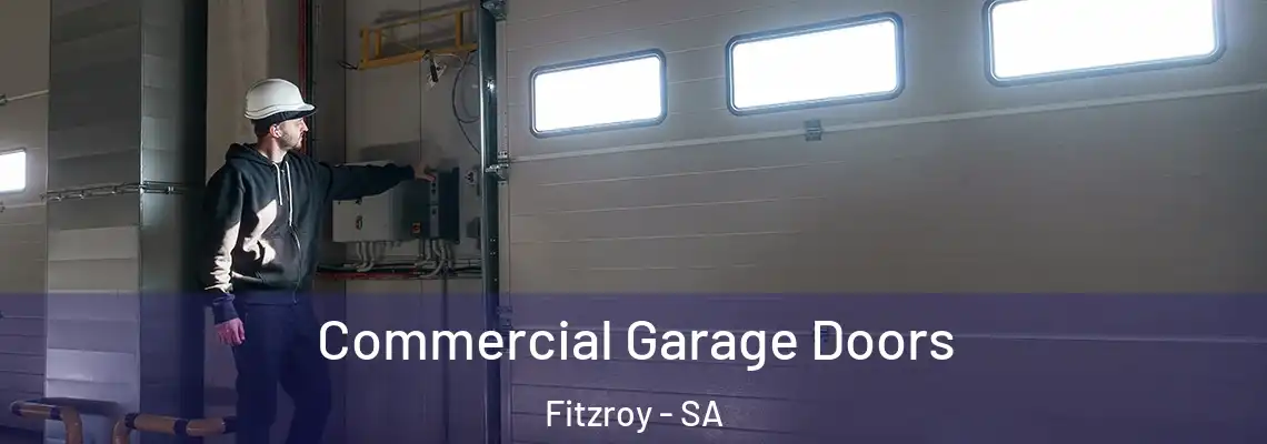  Commercial Garage Doors Fitzroy - SA